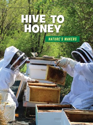 cover image of Hive to Honey